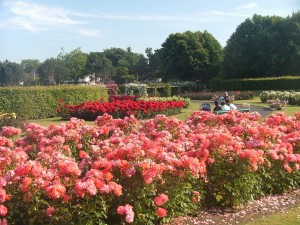 Anne's Park & Rose Gardens