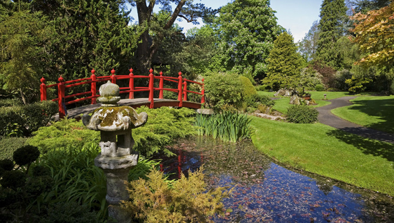 Eastern influences at the Japanese Gardens, County Kildare